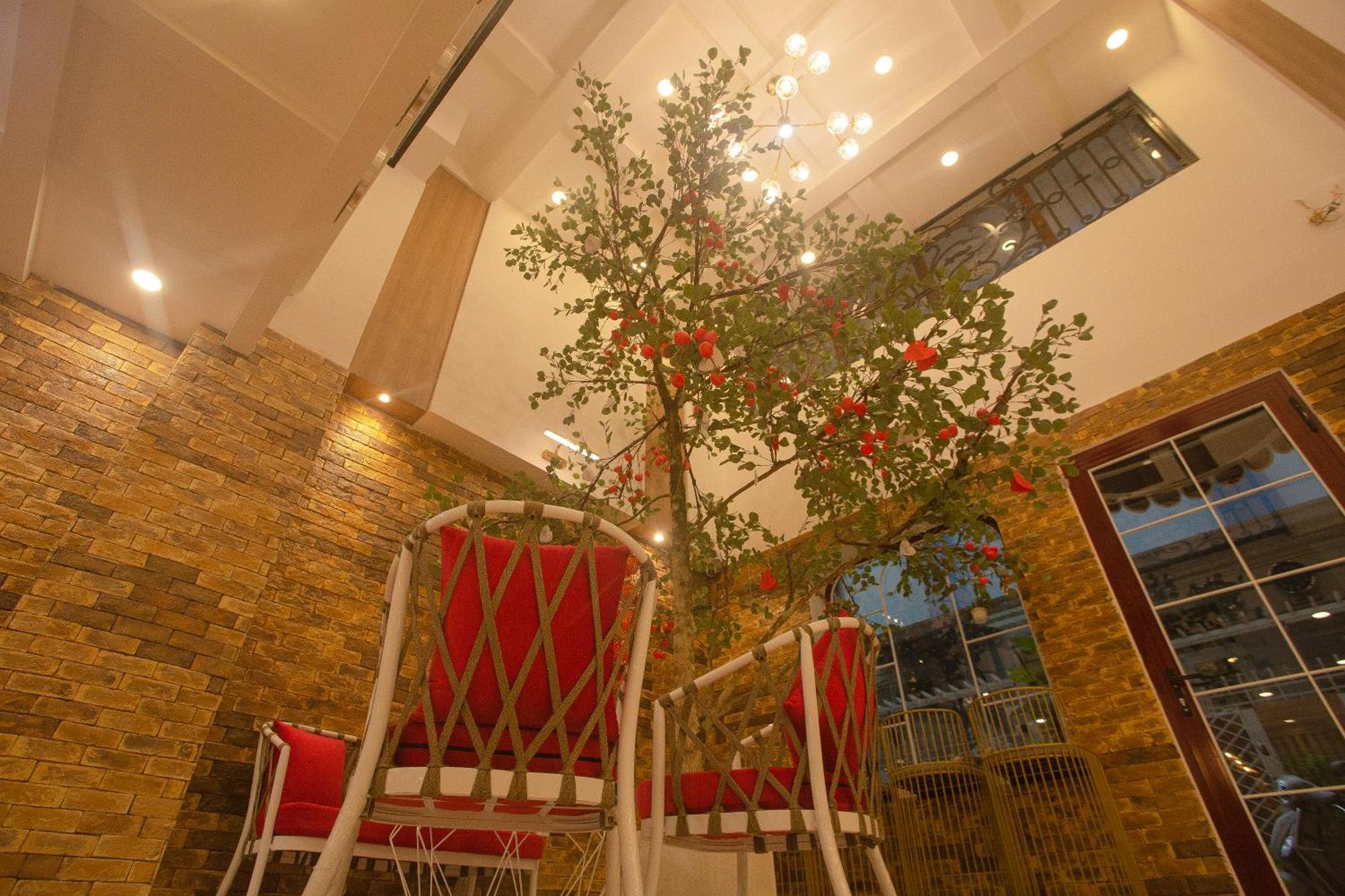 Sweet Lavender Hotel Đà Lạt